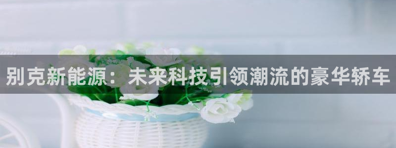 新宝gg至55312：别克新能源：未来科