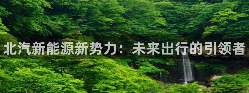 网站是新宝gg：北汽新能源新势力：未来出