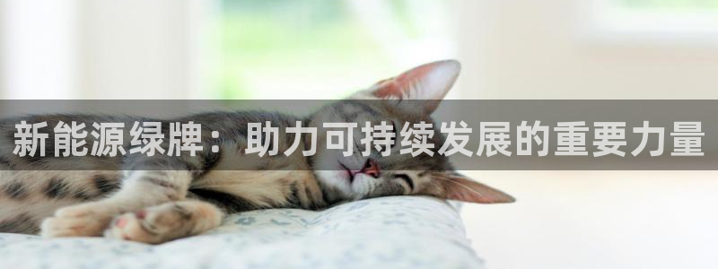 新宝gg老板64491：新能源绿牌：助力