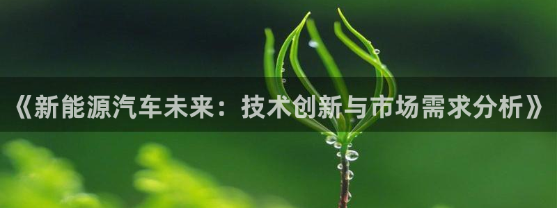 新宝gg挂机软件下载：《新能源汽车未来：