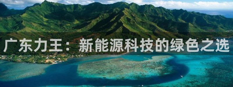新宝gg好吗：广东力王：新能源科技的绿色