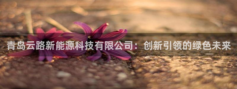 11新宝gg