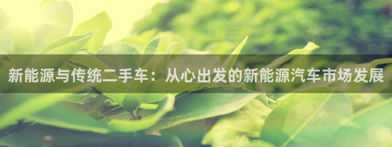 【新宝gg】