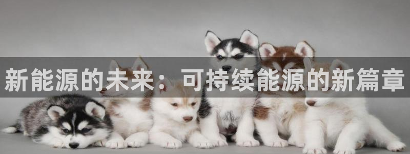 新宝gg娱乐