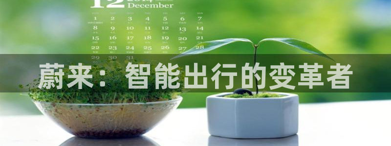 新宝gg主管花木兰