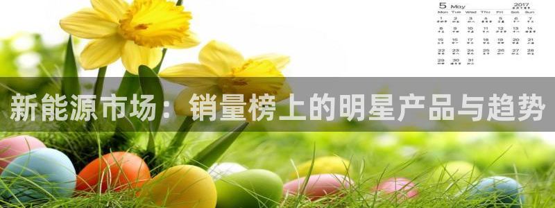 新宝gg q