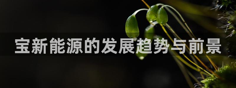 新宝gg可靠