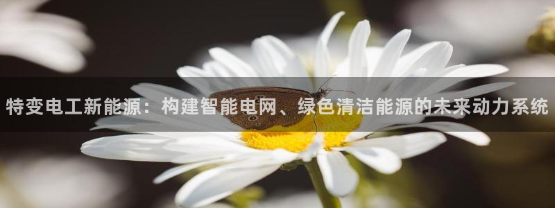 新宝gg套路：特变电工新能源：构建智能电