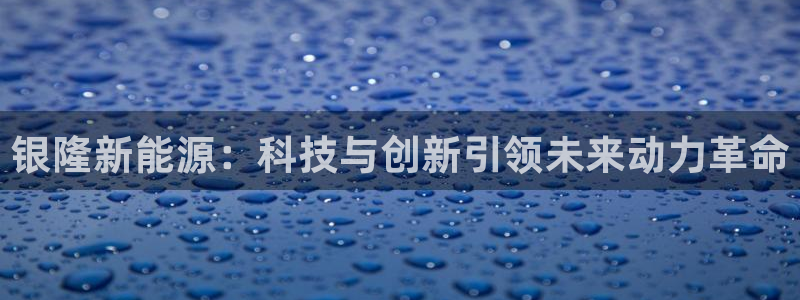 新宝gg 内部 8