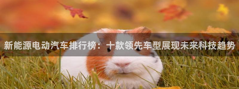 新宝gg主