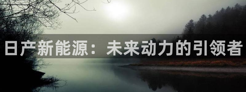 新宝gg什么