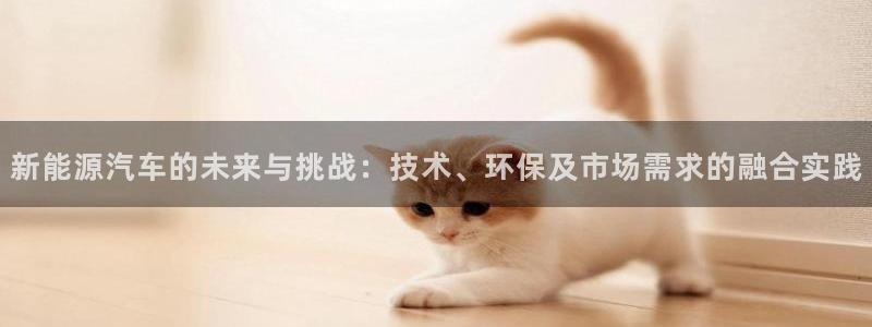 关于新宝GG：新能源汽车的未来与挑战：技