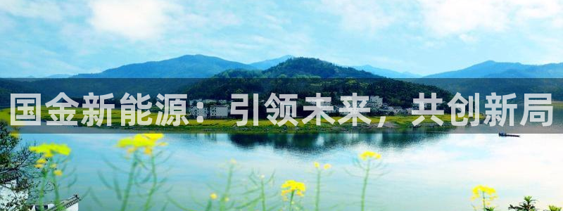 新宝gg龙腾：国金新能源：引领未来，共创