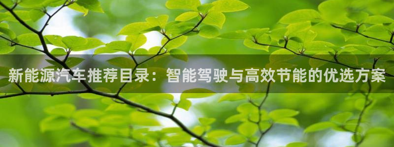 新宝gg登：新能源汽车推荐目录：智能驾驶