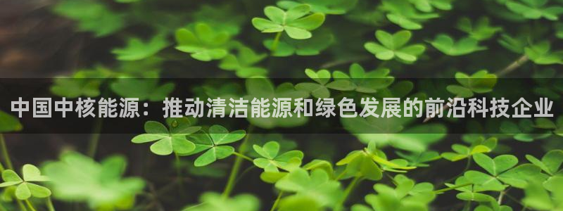 创造奇迹新宝gg