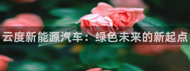 新宝集团gg