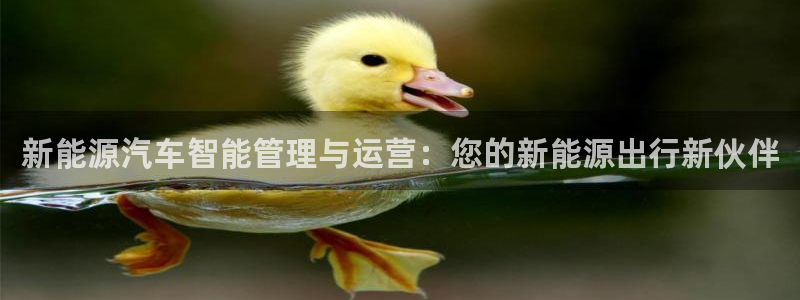 新宝g新宝gg
