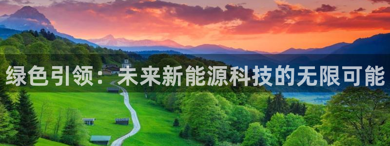 认准新宝gg