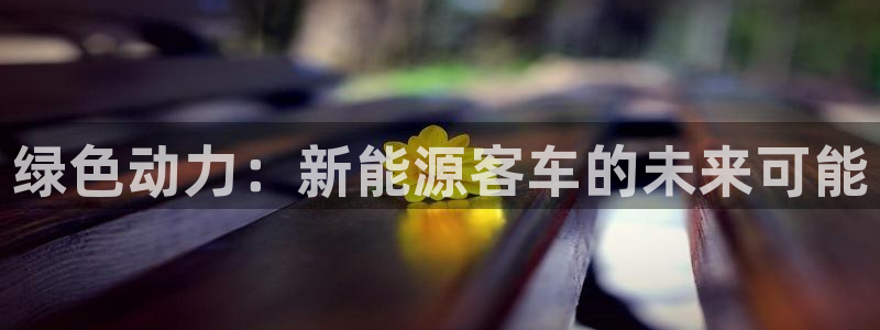 新宝GG寥78778：绿色动力：新能源客