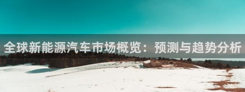 新宝gg登录宝：全球新能源汽车市场概览：