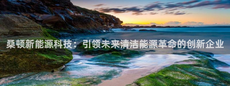 109新宝gg：桑顿新能源科技：引领未来