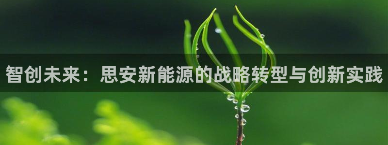 新宝gg平：智创未来：思安新能源的战略转