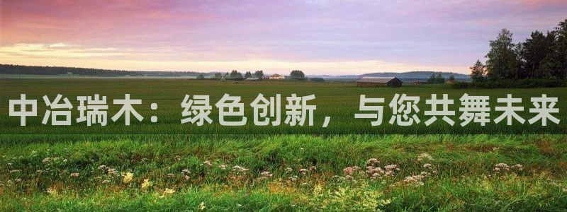 新宝GG挂机:中冶瑞木:绿色创新,与您共舞未来