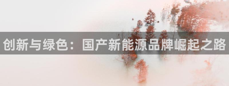 新宝娱乐gg:创新与绿色:国产新能源品牌崛起之路