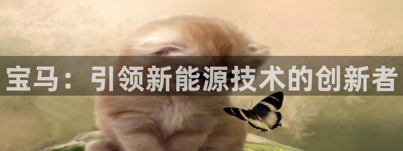 新宝gg吧:宝马:引领新能源技术的创新者