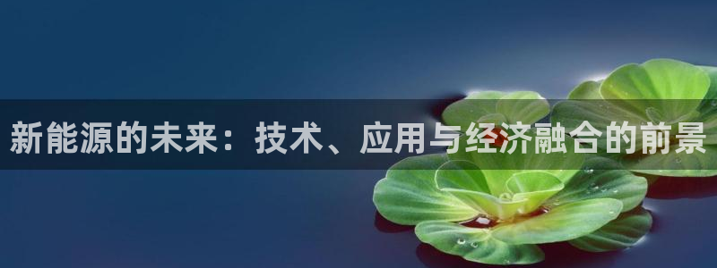 vip新宝gg:新能源的未来:技术、应用与经济融合的前景