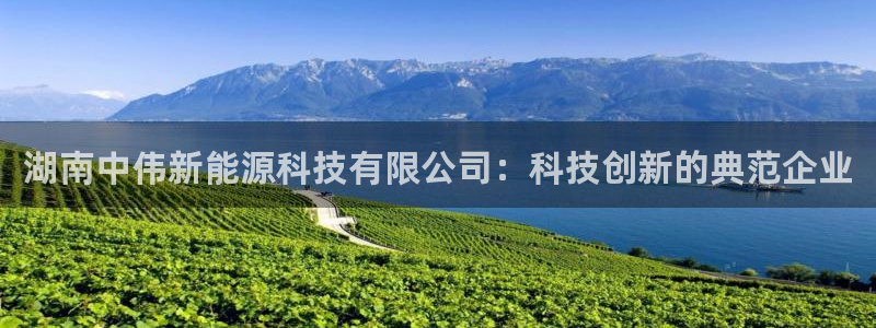 新宝gg注册:湖南中伟新能源科技有限公司:科技创新的典范企业