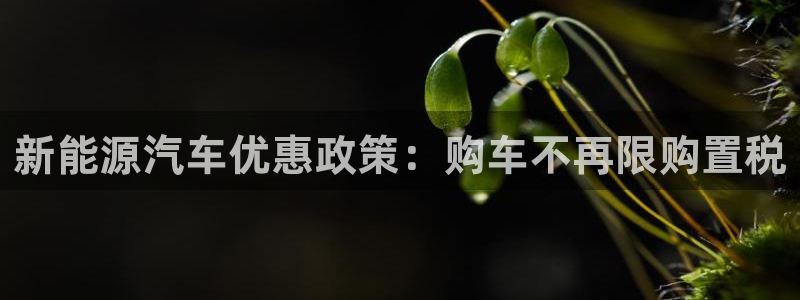 新宝GG卢355051:新能源汽车优惠政策:购车不再限购置税