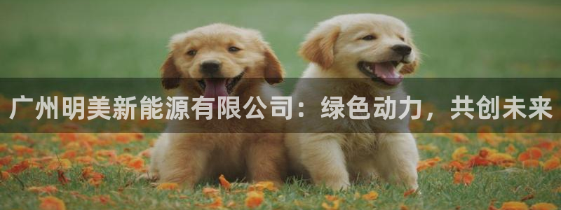 新宝gg代:广州明美新能源有限公司:绿色动力,共创未来