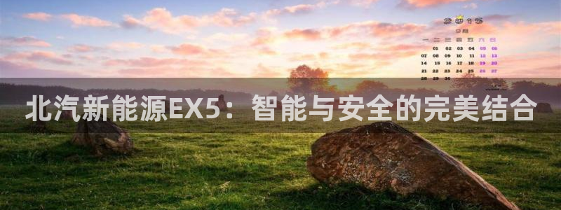 新宝gg代:北汽新能源EX5:智能与安全的完美结合