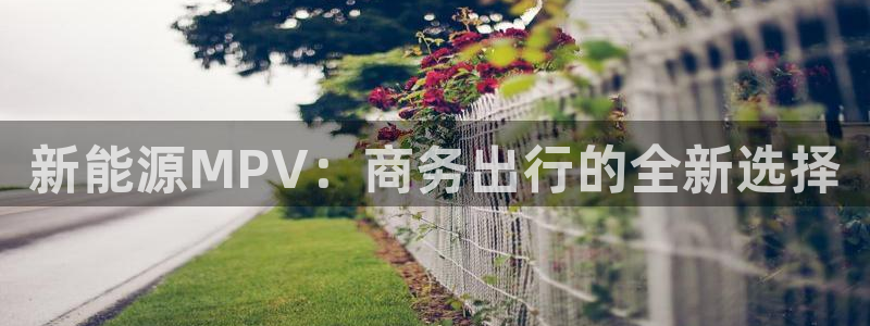 新宝gg指定平台:新能源MPV:商务出行的全新选择