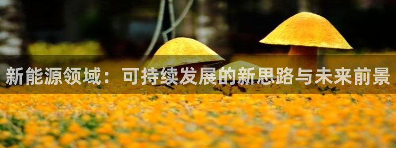 新宝gg注册 776317:新能源领域:可持续发展的新思路与