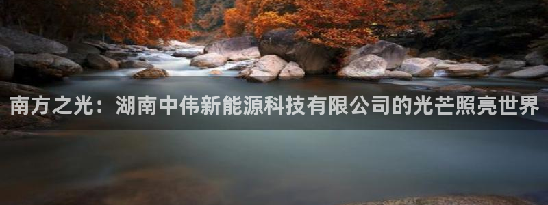 新宝gg — 创造!:南方之光:湖南中伟新能源科技有限公司的