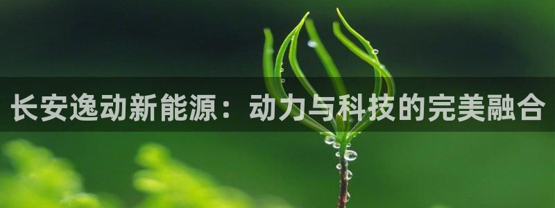 新宝gg游戏登录