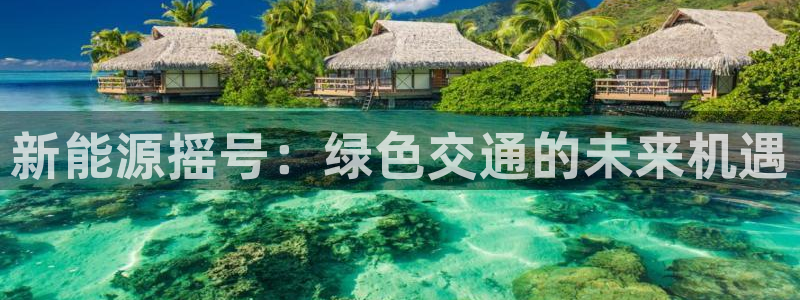 新宝gg平台反水