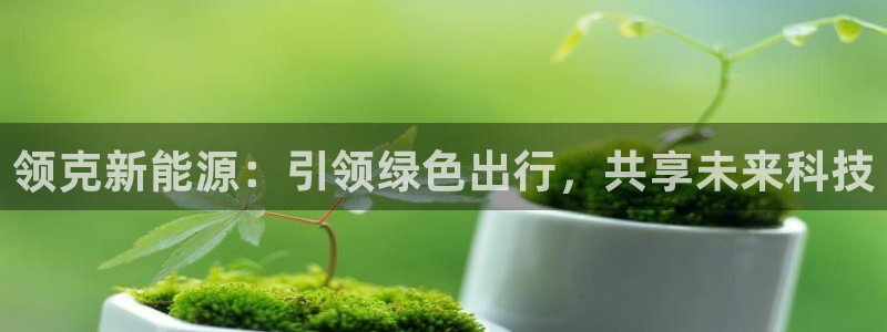 新宝gg手机版下载