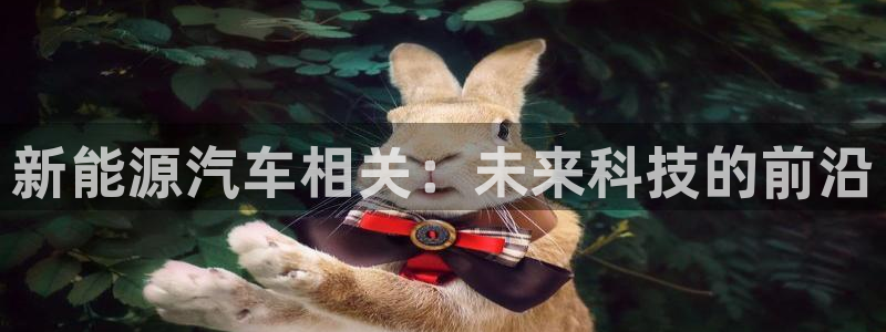 新宝gg手机登录官网：新能源汽车相关：未