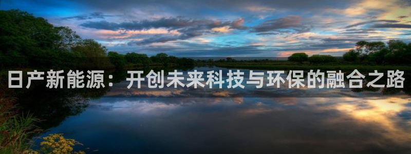 新宝gg6娱乐注册网址：日产新能源：开创