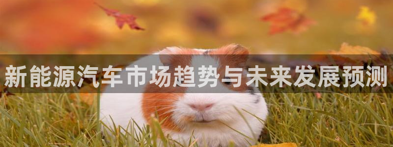 新宝GG朔78778：新能源汽车市场趋势