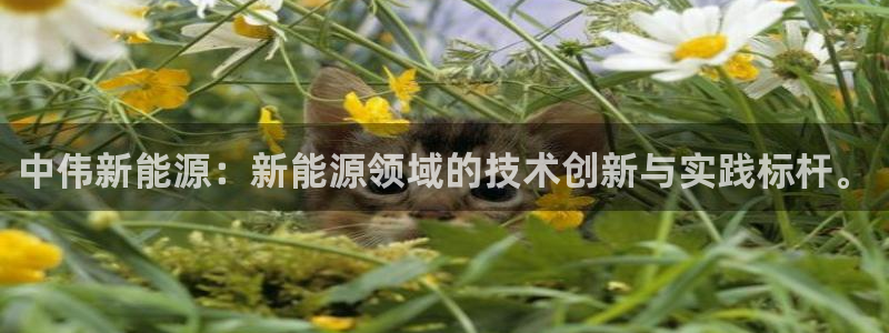 新宝gg账号:中伟新能源:新能源领域的技术创新与实践标杆。