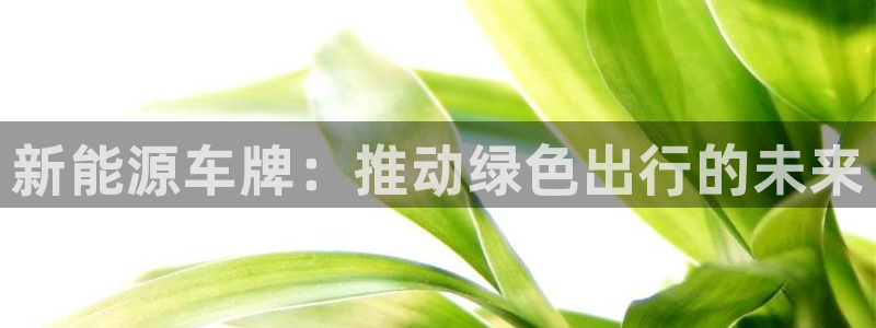 新宝gg直属:新能源车牌:推动绿色出行的未来