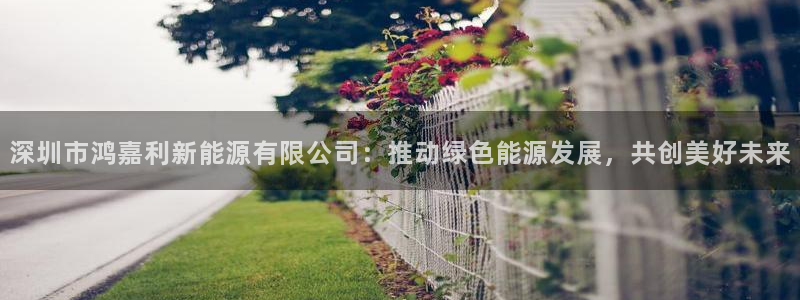 创造奇迹 新宝gg:深圳市鸿嘉利新能源有限公司:推动绿色能源