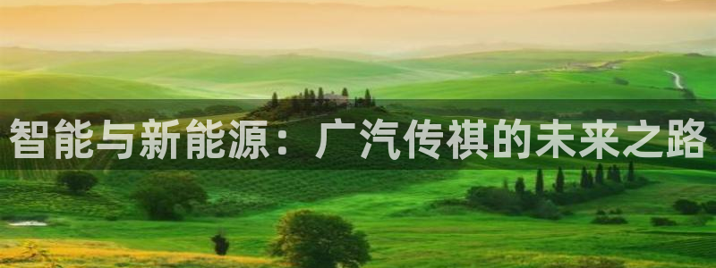 新宝gg cqdellar：智能与新能源