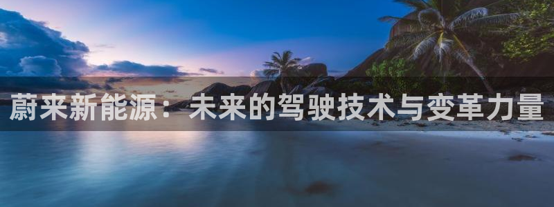 新宝gg娱乐上皇巢网