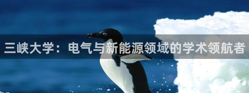 新宝gg 77848扣