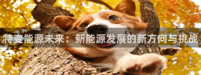 新宝gg代理注册：特变能源未来：新能源发